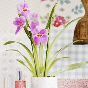 _(ki) ˇb촺՜ܰҾ