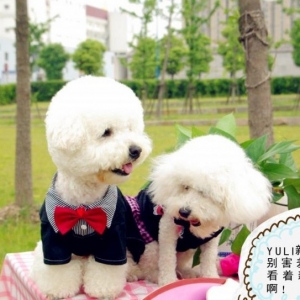 �ɐ�(��i)������Y����ɫ��