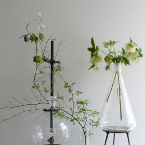 (f)s؛Y(ji)hOUT Ř㌍Ʒ