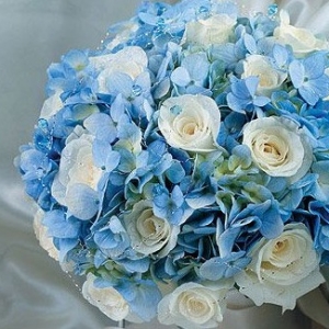 ������͸ˮ��Ԫ�� ����������ˬ��Y