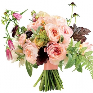 �����_�� �^���_������������