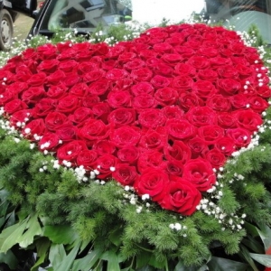 ��õ�岻�����S��?