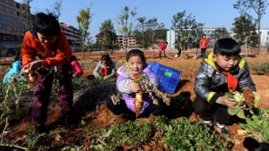 �x����С�W(xu��)���������⡰�������I(y��)��