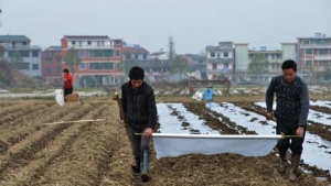 �x��ɽ�^(q��)�������Næ