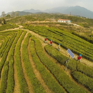 �x���h�T����(w��)꠷���(w��)���r(n��ng)������x��