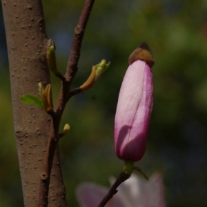 �x��������˴�푶�����ȫ��λ�G����(zh��n)��