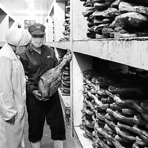 �x���z�(y��n)�z�߾����㽭�A�y(t��ng)����Ʒ�ɷ����޹�˾�}��O(ji��n)��