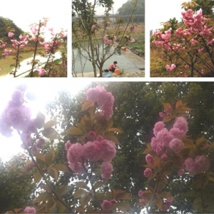 �x������p�ѻ������x֮��