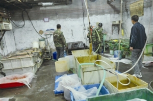 �x���Ƿ��像S�����������W(xu��)Ʒ���� ������@��