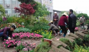 ׌�x���ľG�����S������(l��i)