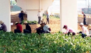 �x���۱O(ji��n)�܅^(q��)�������¡�