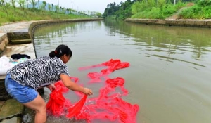 �h(hu��n)Ϫ��ԭ���B(t��i)�C�������ѬF(xi��n)��Ч