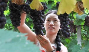 �x���c������