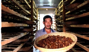 �x���ۗ��ӹ����R�ͳ���