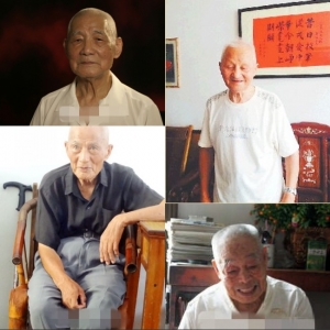  ������(zh��n)�ϱ������vʷ����