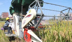 �μ��s�����_��ո�