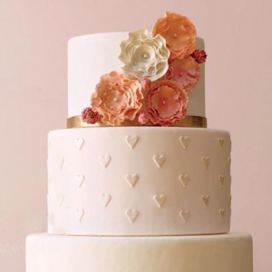 ���ӻ�Y���� ��ζ�ֿɐ�(��i)