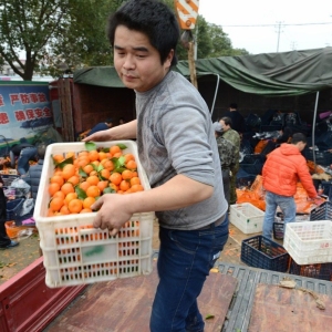 �M�d���ӵ�؛܇��(c��)����͵��u��