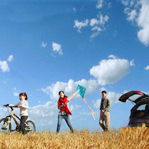 �˾��������M��ǧ���x����ȫ������