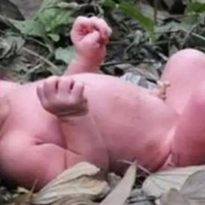 �x����Ů�������������� �Q��֪�@��С��