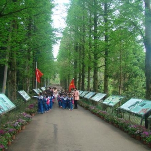 ���и�С�W�_��N�N����ģʽ