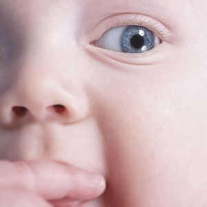 �x�������a(ch��n)��12.4��ދ� �ஔ��Ҋ