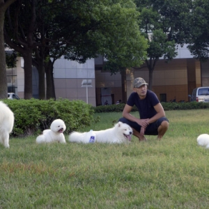 ���@��(n��i)����ԓ��ԓ��ֹ�޹�?