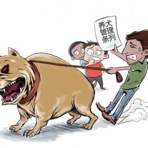 ���С�������:�������еġ�ʹ��