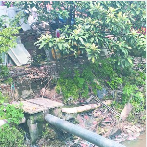 ��Ϫԣ�@߅������ˮֱ��