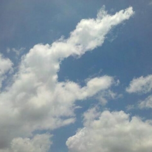 �_�L(f��ng)�����R�����u ����ĩ��Ҫ�������^