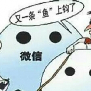 ���衰΢�š��p�_