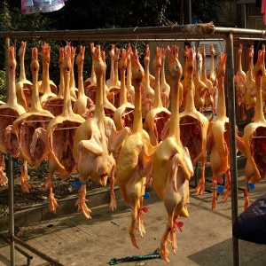 �����@Щ,�Л]�п��^��ĸ��X?