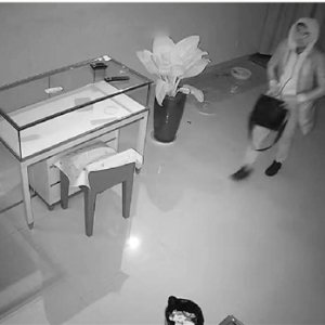 �x�����S��һ�l�֡���һ�ҽ�� 294������I