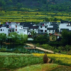 �x�����_�������조�Ї�����(chu��ng)�l(xi��ng)�塱 ����a��������_3000�fԪ