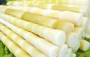 �x�������B��������ĹS ����󾹳Ե���Ѫ