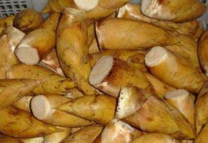 ���f�๫�����ë�S�U�����x���Ј�