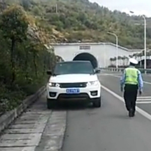 �����{�T������`ͣ���P