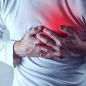 �x����80��˾�C(j��)�����Ĺ��U(xi��n)�G�� ���p��Ҫ�B(y��ng)�����õ����ʽ