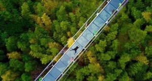 �x�� ���ƶ���� �����������һ�߆�