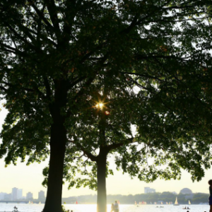 �x��һ�������Կ������И�ľ���P���fԪ