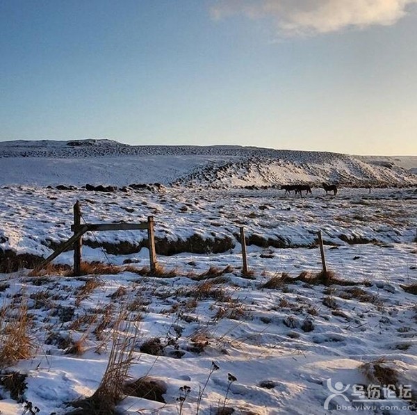Fluðir Iceland