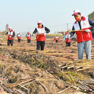 ���Ĉ�(ji��n)��ʮһ�d �ͷ��Є�(d��ng)ů����