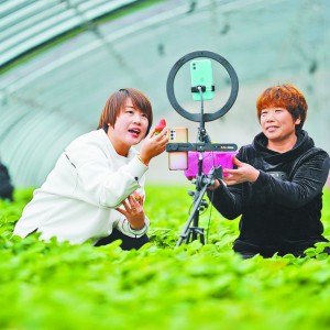 ���ϡ��Ƴ�� ���e׃��æ