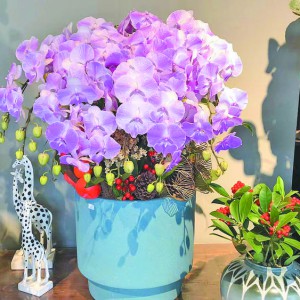 ��������(l��i)�� ����r(ji��)��ƽ��(w��n)