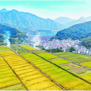 ׌ǧ����(zh��n)���l(f��)����C  �శ�(zh��n)�۽��h(hu��n)�������~��ͬ��ԣ