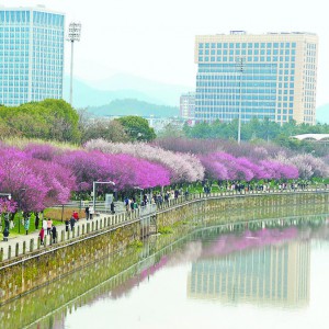 �x�����I�p÷�����r