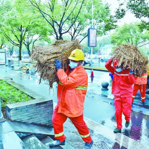 �������Y ӭ��(zh��n)��ѩ