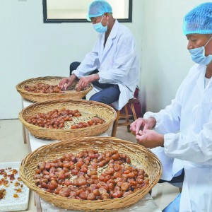 ����t��׌�������I(y��)��������