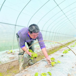 �����������(d��ng)�r