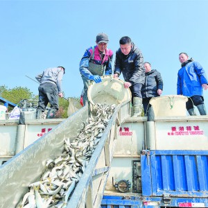 �x�����_չ?ji��)O�I(y��)�YԴ��ֳ�������